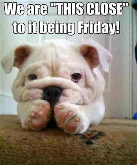 Lol I Wish Friday Were Here Today Its Been A Rough Week Cute