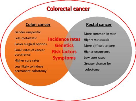 Comparison Of Colon And Rectal Cancers Download Scientific Diagram