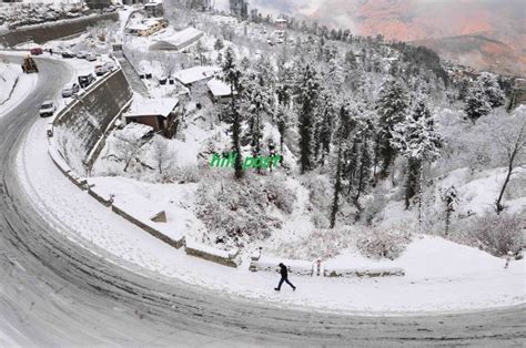 Enoy guys come with your friends #snowfall #snow #shimla #kufri #shimlasnow #shimlasnowfall #kufrisnow #kufrisnowfall #rain #rainsnow #today #todaysnow #masti. Snowfall at Manali, Kufri, Narkanda, Shimla - Hill Post