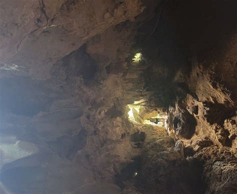 Cueva Del Viento Isabela Cueva Del Viento Yorumları Tripadvisor