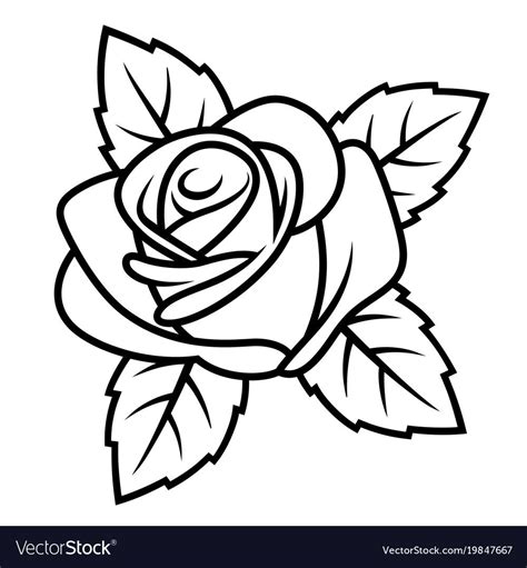 Sketch Of Rose Isolated On White Background Use For Fabric Design