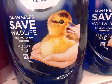 Dawn Dishwashing Detergent save Wildlife Bottle. Dawn oil ...