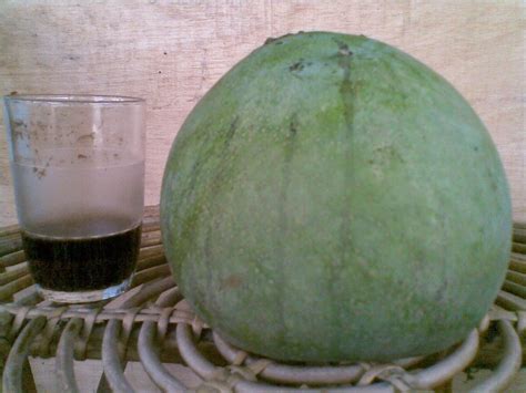 Jenis ini populer di kalangan pecinta mangga dengan bentuk lonjongnya. MENCARI KEBAHAGIAAN HIDUP...: Ada Apa Pada Mangga