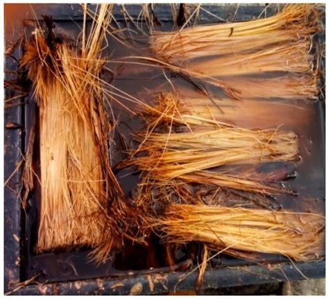 After threshing process, the empty fruit bunches were shredded into loose fibrous material. AgriEngineering | Free Full-Text | Potential of Oil Palm ...