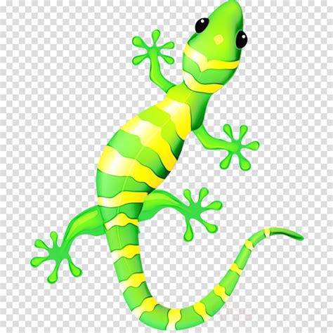 Download High Quality Lizard Clipart Gecko Transparent Png Images Art