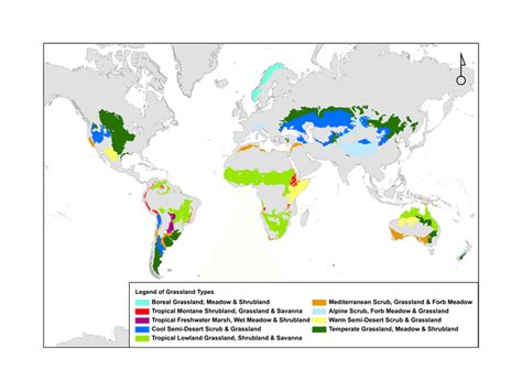 Major Grasslands Of The World Map Draw A Topographic Map