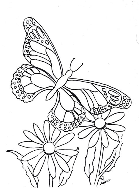 Coloring Pages For Kids By Mr Adron Butterfly Coloring Page To Print