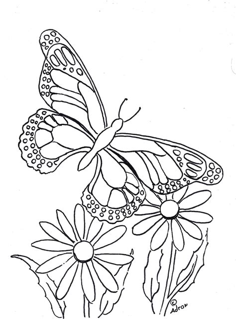 Getting the butterfly coloring page free printable or online free is so easy. Coloring Pages for Kids by Mr. Adron: Butterfly Coloring Page to Print and Color