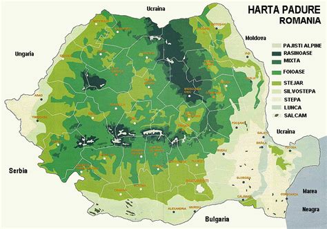 București, românia hartă (românia) pentru a imprima. Harta padurilor din Romania - Profu' de geogra'