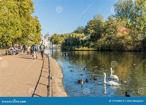 A Typical View In Green Park In London Editorial Stock Image Image Of