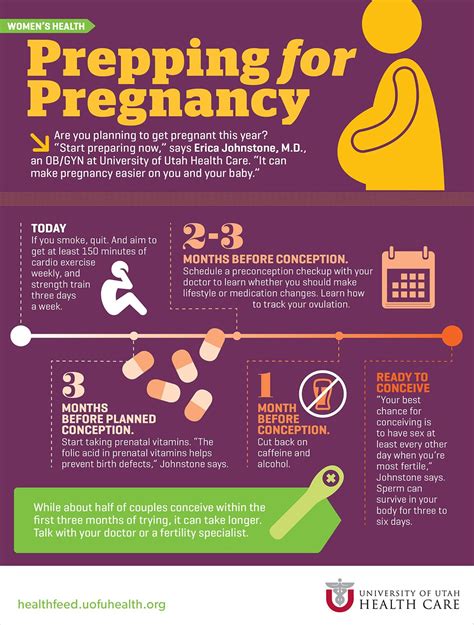 How To Prep For Pregnancy Prepping For Pregnancy Baby Care Tips