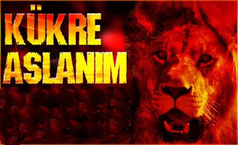 Maybe you would like to learn more about one of these? YSİ: "Aslan" Galatasaray