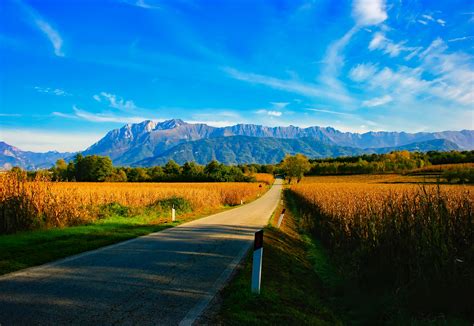 Free Images Landscape Tree Nature Forest Grass Horizon