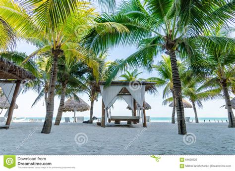 Tropical Vacation View With Palm Trees At Exotic Sandy Beach On