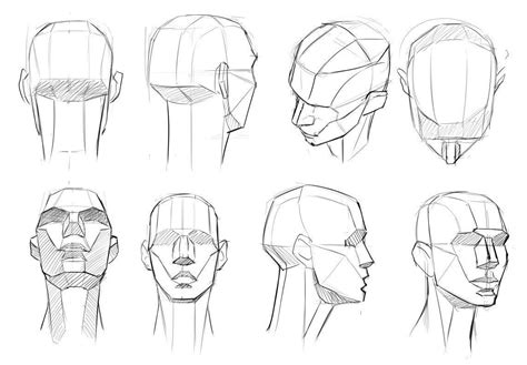 Review Of Human Head Drawing Base Uploadly