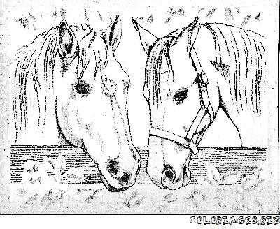 Coloriage De Chevaux A Imprimer Hugo L’escargot Gratuit Coloriage
