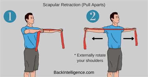 Fix Upper Back Pain Between Shoulder Blades 7 Exercises