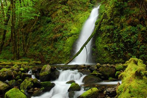 Ruckel Creek Falls I Dont Think Many People Visit This Wa Flickr