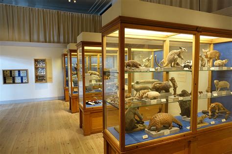 Since the museum is located in the nation's capital, finding the place and traveling to it won't be that hard. File:Interior view - Swedish Museum of Natural History ...