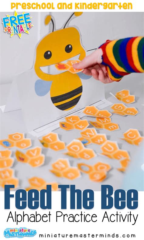 feed the bee alphabet beginning sounds activity for preschool and