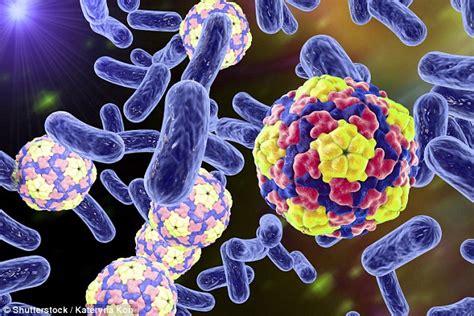 Check spelling or type a new query. Did life come from BACTERIA? Researchers say virus ...