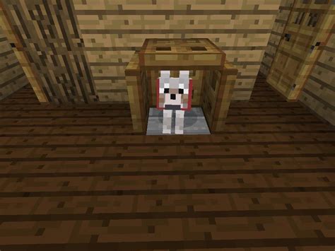 How To Make A Dog Bed In Minecraft Pe Doggy Talents Mods Minecraft