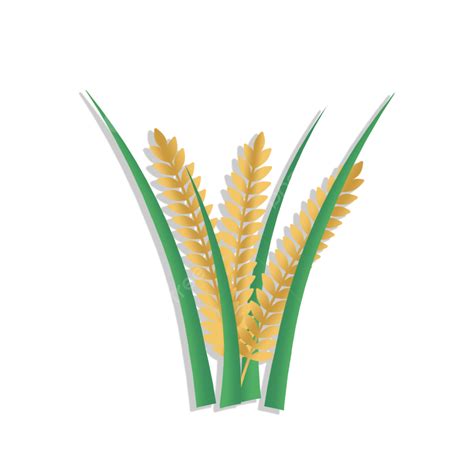 Rice Plant Png Transparent Rice Plant Icon Cereal Plant Plant White