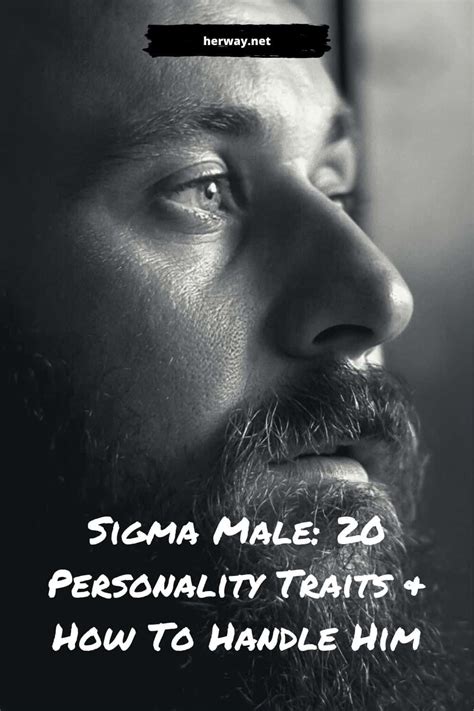 Sigma Male 20 Personality Traits How To Handle Him Artofit