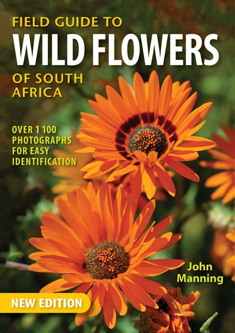 Obviously, we're going to venture slightly into spoiler territory here for the first thing to get out of the way is that there are actually four different story paths in fire emblem: Field Guide to Wild Flowers of South Africa by Manning ...