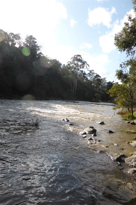 Todays weather forecast, by the hour and long term. Quilter on the hill: Winter in Warrandyte