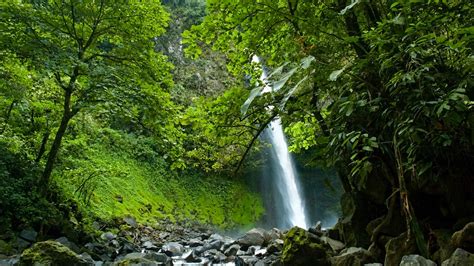Package tracking (or package logging) is the process of localizing shipping containers, mail and parcel post at different points of time during sorting, warehousing, and package delivery to verify their provenance and to predict and aid delivery. Costa Rica Off the Beaten Track - Steppes Travel