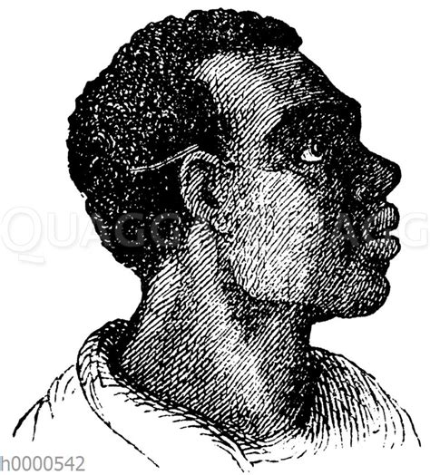 Schwarzer pilz hat todesrate von 54 prozent. Mensch: Afrikaner: Schwarzer - Quagga Illustrations