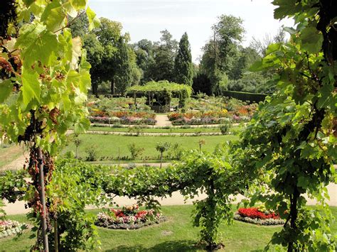 Im vordergrund das parterre des sizilianische. Schloss Charlottenhof | Blick auf den Garten, Park ...