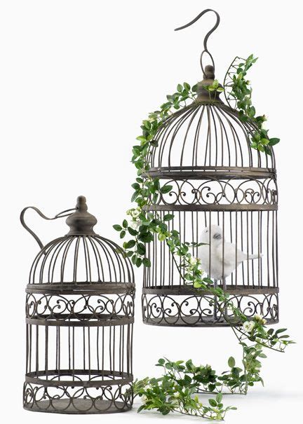 We did not find results for: Decorative Wedding Bird Cages | Decorative Bird Cage ...