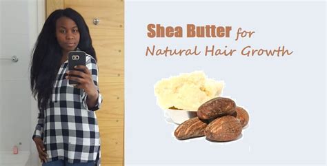A major benefit of shea butter is that it may promote hair growth. shea butter for natural hair growth 4c black african hair ...