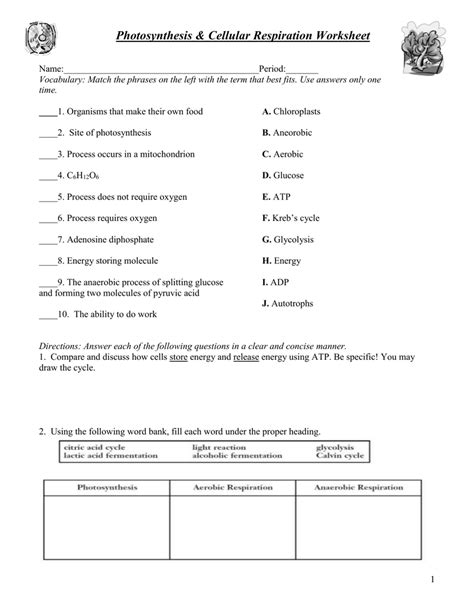 It covers the topic of cellular respiration. Cellular Respiration Crossword Answer Key - Cell ...