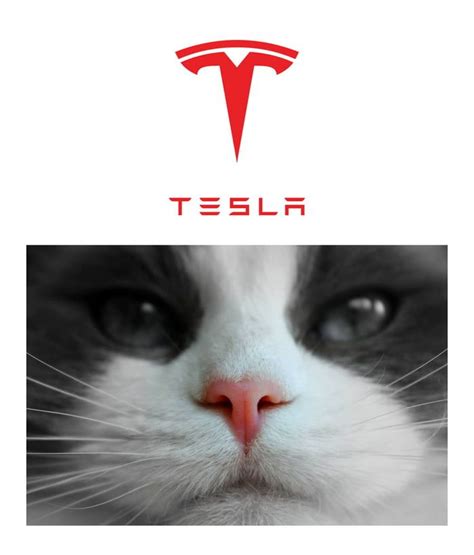 Tesla roadster tesla motors tesla model s tesla model x, tesla, angle, logo png. tesla logo - Google Search in 2020 | Memes, Funny images ...