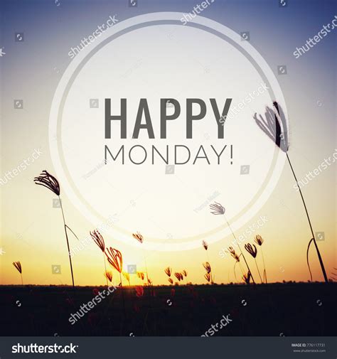 44991 Happy Mondays Images Stock Photos And Vectors Shutterstock