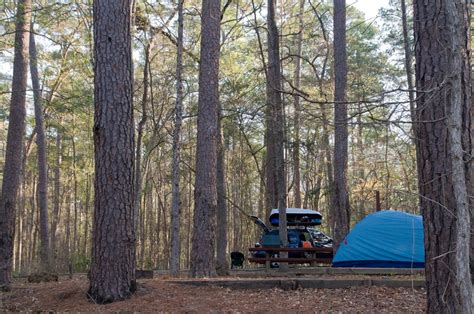 The preserve, which is administered by the united states department of agriculture forest service local headquarters in lufkin, has a total of 161,842 acres, with 94,481 acres in houston county and 67,361. Pattison on Wheels: 3/16/08 - 3/23/08