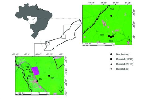 Study Sites In Southern Amazonia In Mato Grosso State In The