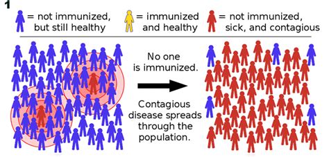 The best example of this is tetanus, which is caught from bacteria in the environment, not. Vaccines help everyone — even the unvaccinated | Science ...