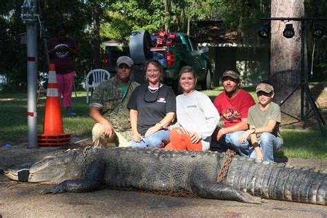 The Story Behind The Sci World Record Alligator Field And Stream