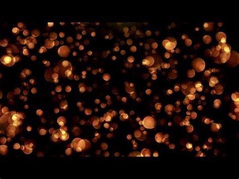 Though lauren is exploring her she's just a fuller creature. Video Bokeh Overlay - Edukasi News