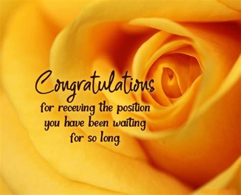 130 Best Wishes For New Job Congratulations Messages Wishes
