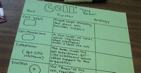 Check spelling or type a new query. Learning in Place: Plant Cells Models and Metaphors