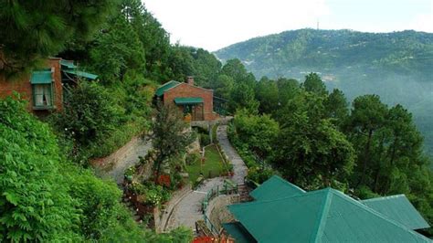 quick getaway to kasauli condé nast traveller india