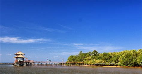 Pantai batu karas jawa barat menawarkan suasana alam yang tenang, gelombang laut yang bersahabat dengan pantainya yang indah. Menikmati Wisata Alam Hutan Mangrove Batu Karas Kabupaten ...