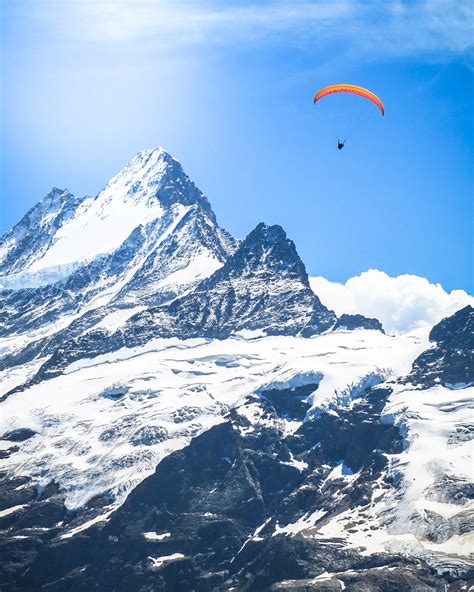 Paragliding - Balmers Hostel, Camping & Nightclub