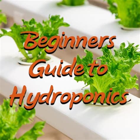 Hydroponics A Beginners Guide Diy Garden