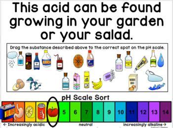 Acids and bases ph scale worksheet. pH Scale Activity to use with your Acids and... by Samson's Shoppe | Teachers Pay Teachers ...